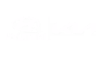 Hyundai Kia